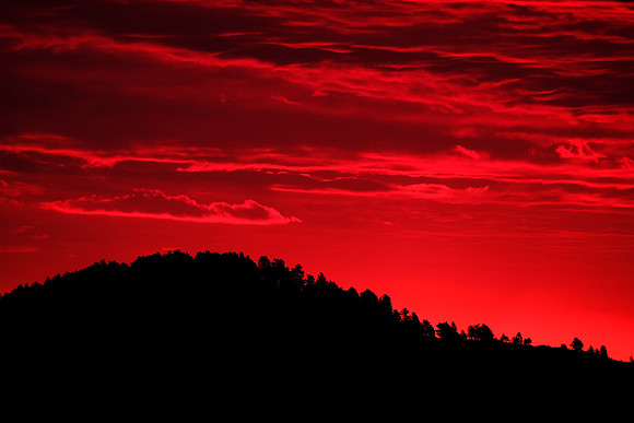 Sunrise at Custer State Park Annual Buffalo Roundup, SD