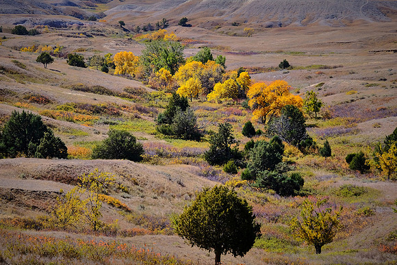Badlands National Park, SD