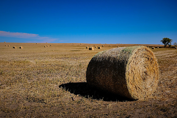 Scenic, SD