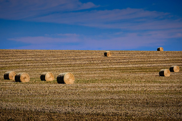 Scenic, SD