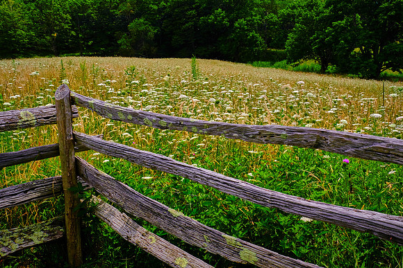 Grayson Highlands, VA
