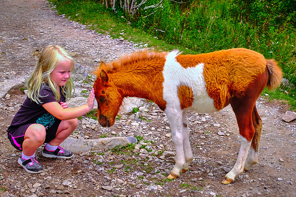 Grayson Highlands, VA