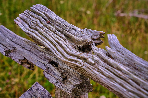 Grayson Highlands, VA