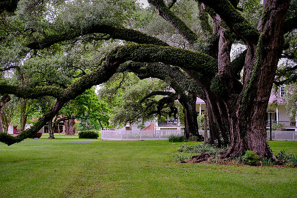 Oakland Plantation (1785), Cane River Creole National Historic Park, Louisiana