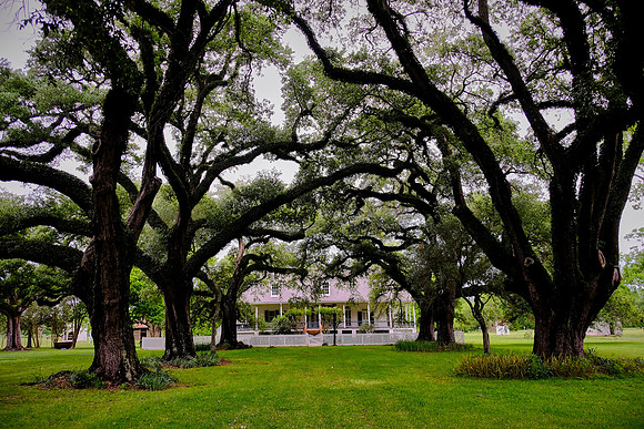 Oakland Plantation (1785), Cane River Creole National Historic Park, Louisiana