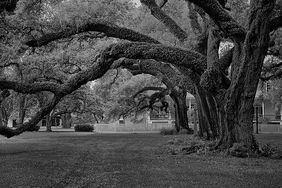 Oakland Plantation (1785), Cane River Creole National Historic Park, Louisiana