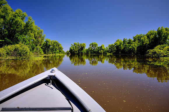 Atchafalaya Swamp, South-Central Louisiana