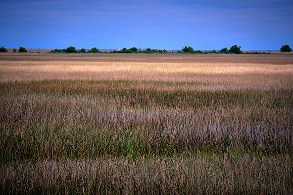Sabine National Wildlife Refuge, Louisiana