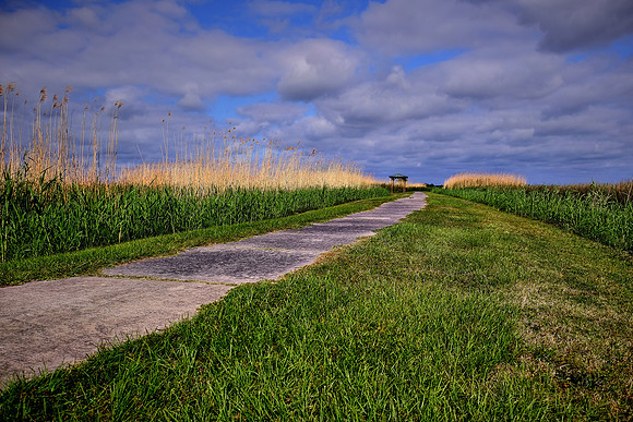 Sabine National Wildlife Refuge, Louisiana