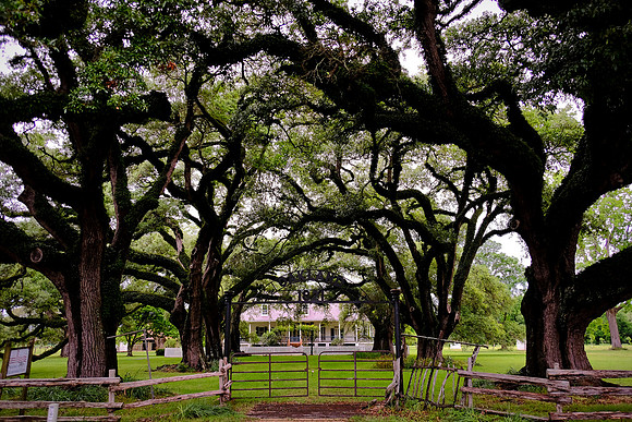 Oakland Plantation (1785), Cane River Creole National Historic Park, Louisiana