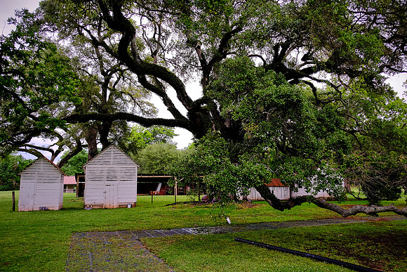 Oakland Plantation (1785), Cane River Creole National Historic Park, Louisiana