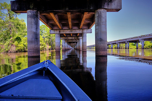 Atchafalaya Swamp, South-Central Louisiana