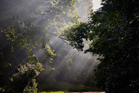 Crepuscular rays, Blue Ridge Parkway, NC