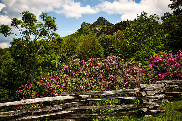 Grandfather Mt. State Park, Blue Ridge Mountains, NC