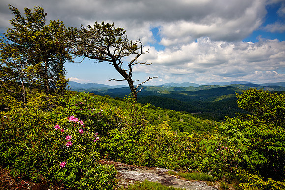 Flat Rock Trail Overlook, Blue Ridge Parkway, NC