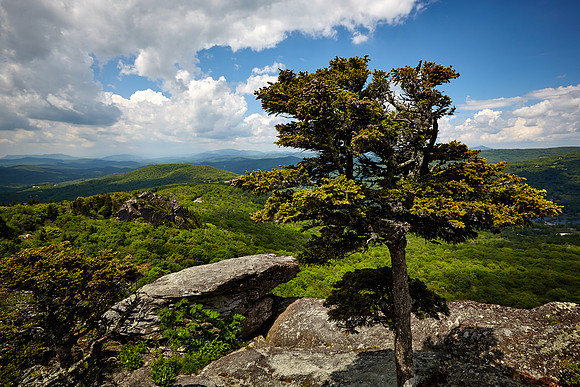 Grandfather Mt. State Park, Blue Ridge Mountains, NC