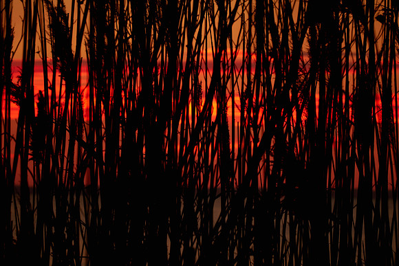 Sunset, Whalehead, Corolla, Outer Banks, NC