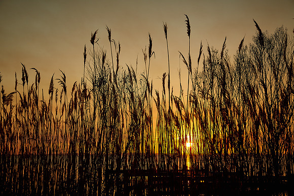 Sunset, Whalehead, Corolla, Outer Banks, NC