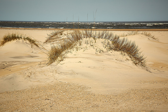 Oregon Inlet Lifeboat Station and Beach, Outer Banks, NC