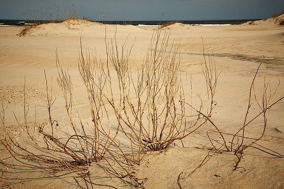 Oregon Inlet Lifeboat Station and Beach, Outer Banks, NC
