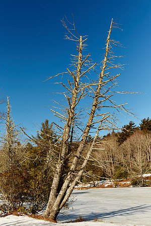 Bass Lake, Blowing Rock, NC