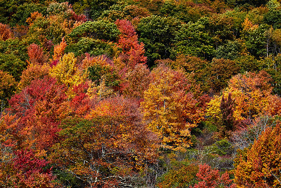 Graveyard Falls, Blue Ridge Parkway, NC