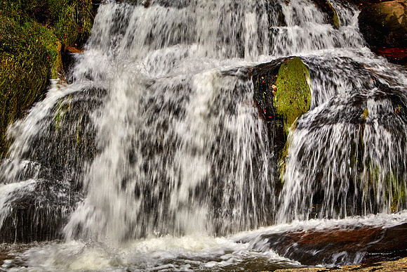 Living Waters Ministry, NC