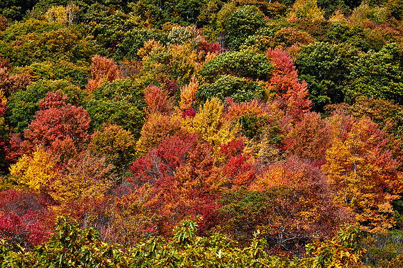Graveyard Falls, Blue Ridge Parkway, NC