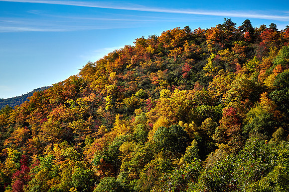 Bad Fork Valley Overlook, Blue Ridge Parkway, NC