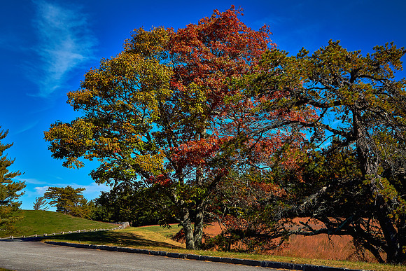 Fall Color, Blue Ridge Parkway