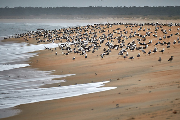 Outer Banks, NC — during Hurricane Joaquin