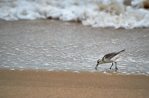 Outer Banks, NC — during Hurricane Joaquin