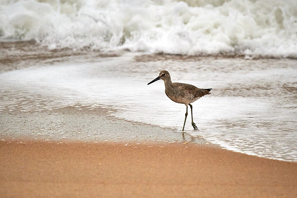 Outer Banks, NC — during Hurricane Joaquin