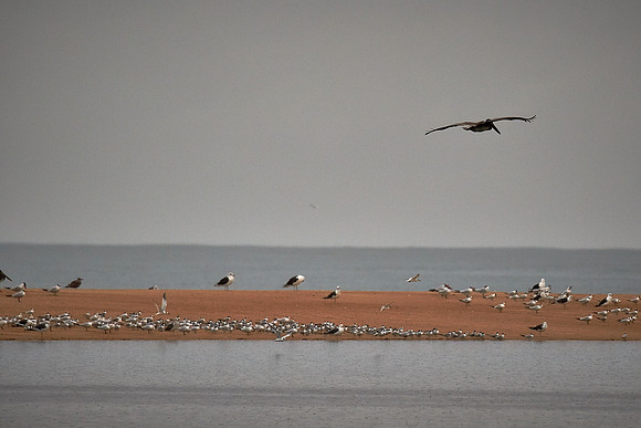 Outer Banks, NC — during Hurricane Joaquin