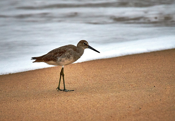 Outer Banks, NC — during Hurricane Joaquin