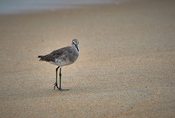 Outer Banks, NC — during Hurricane Joaquin