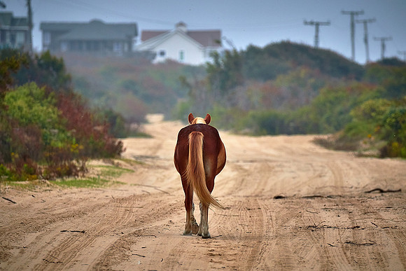 Outer Banks, NC — during Hurricane Joaquin