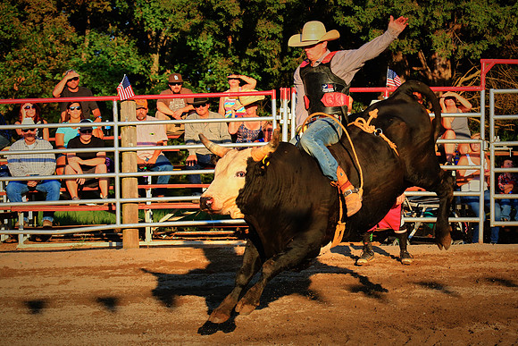 North Carolina Bull Riding