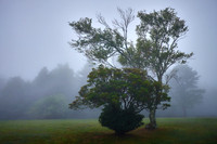 2015 July - Blue Ridge Parkway