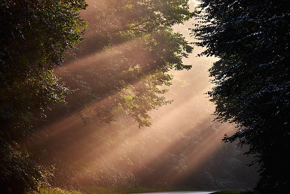 Sunrise, Blue Ridge Parkway