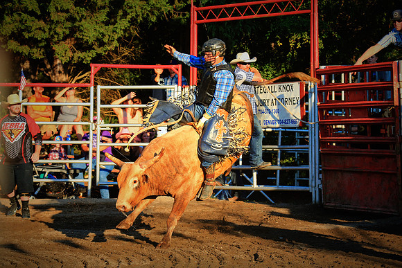 North Carolina Bull Riding