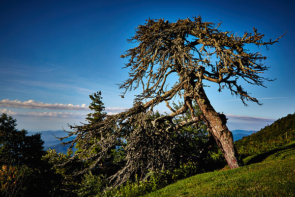 Blue Ridge Parkway