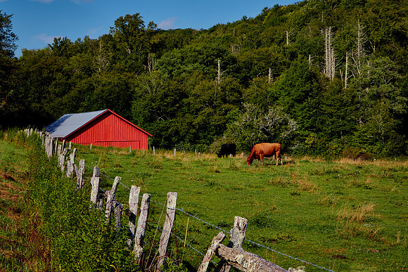 Blue Ridge Parkway