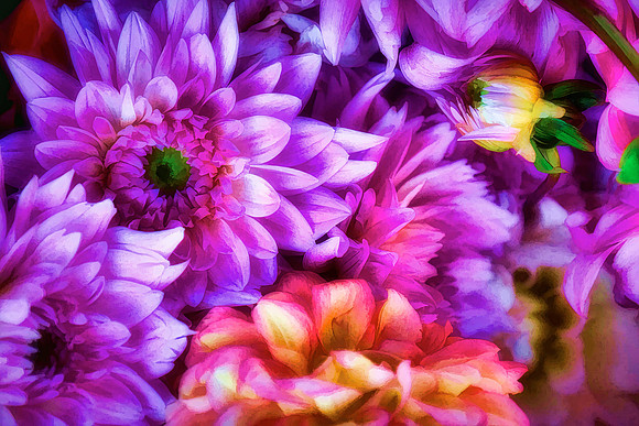 Davidson Farmer's Market