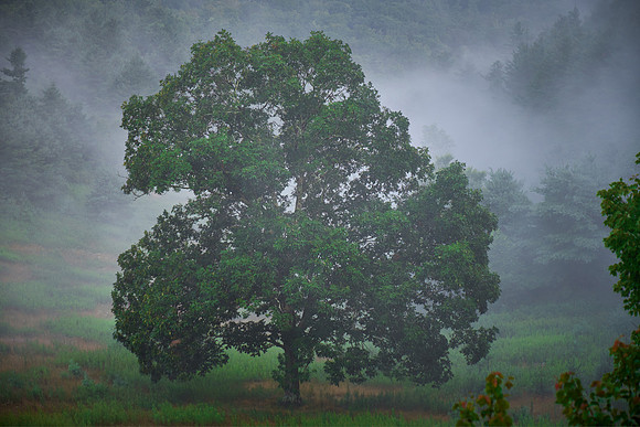 Sunrise, Blue Ridge Parkway