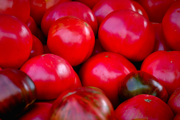 Davidson Farmer's Market