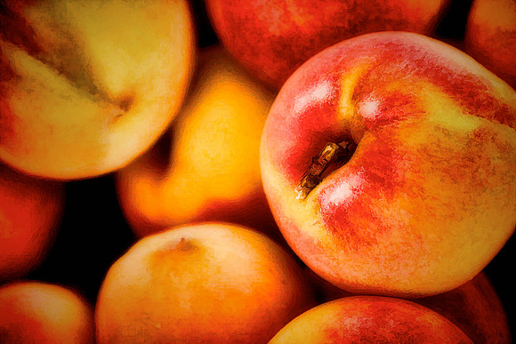 Davidson Farmer's Market