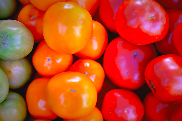 Davidson Farmer's Market