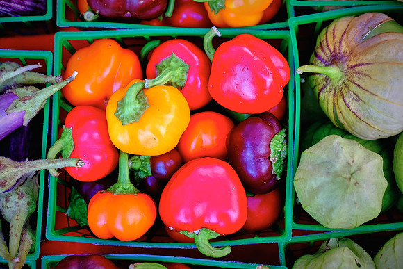 Davidson Farmer's Market