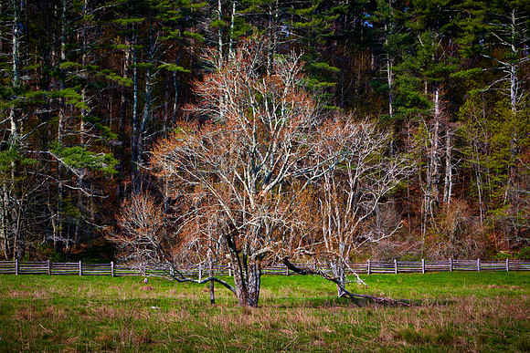 Blue Ridge Parkway